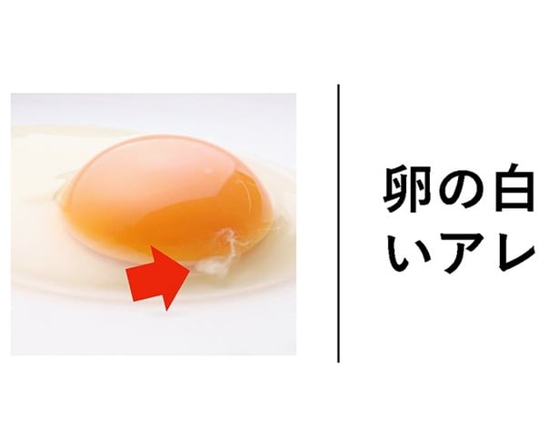 【年末年始は雑学三昧！】卵の白い「アレ」の名前、知ってる？