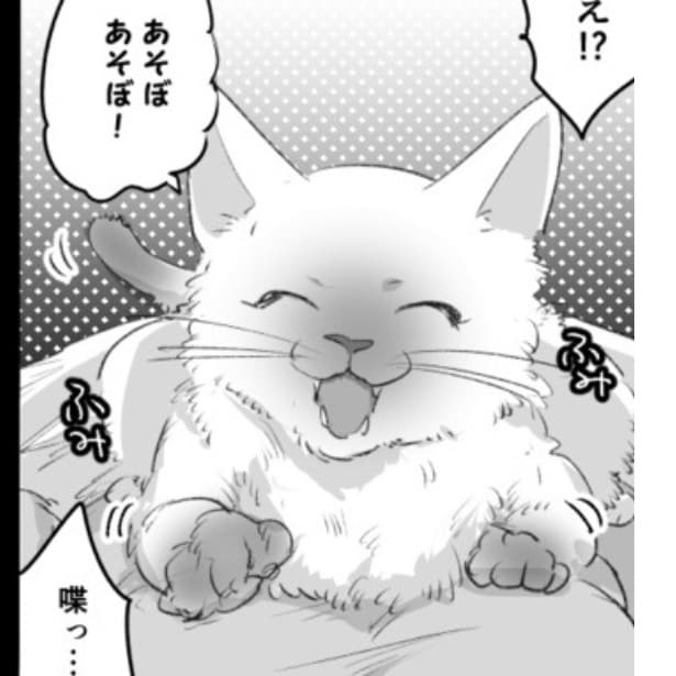 「猫がしゃべったー!!」言葉がわかればいいのに…と願ったら「ねぇねぇ、あそぼ」「だいす…」猫と飼い主の尊い物語【作者に聞く】