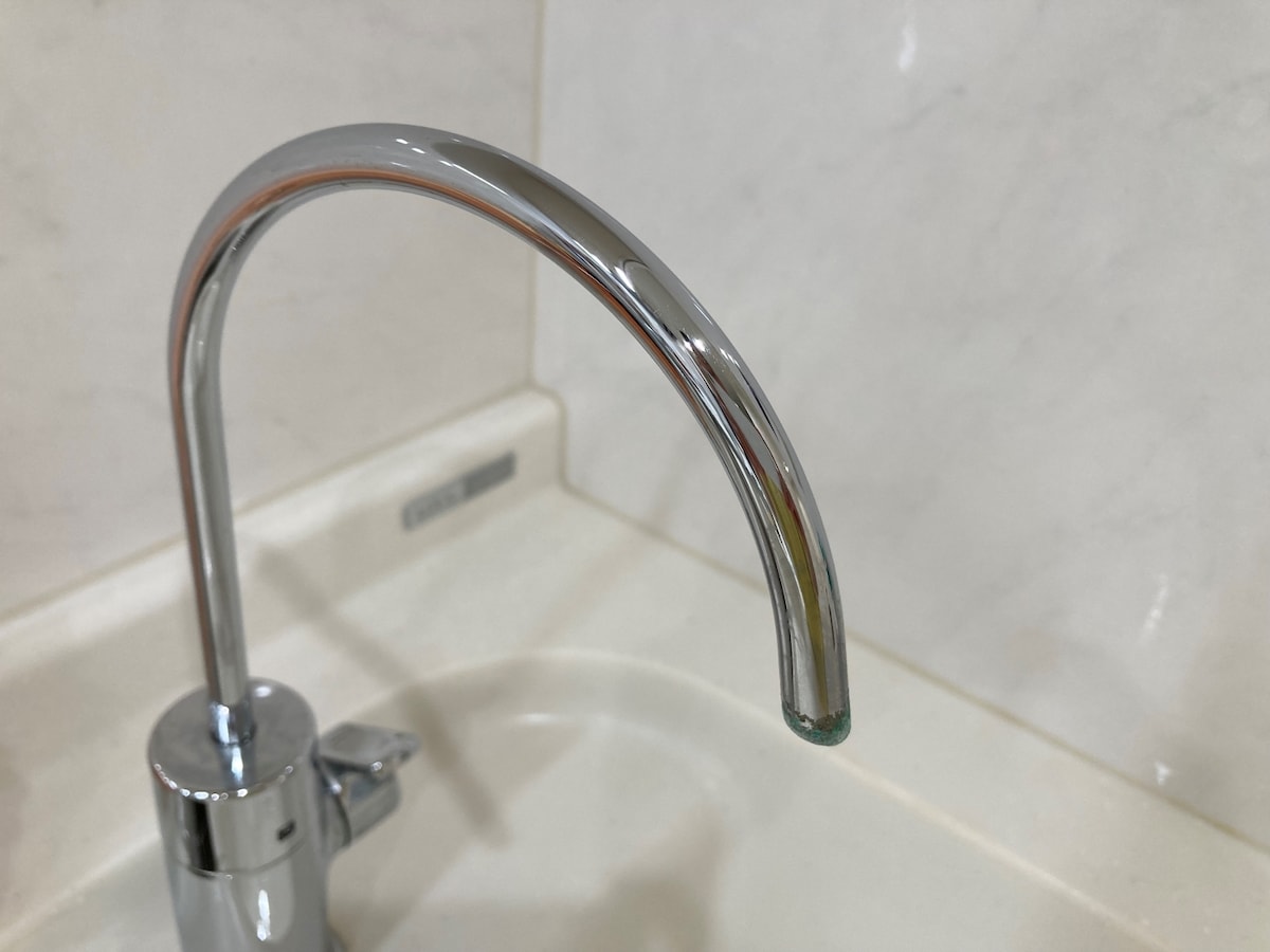 蛇口after_検証の結果ピカピカになった