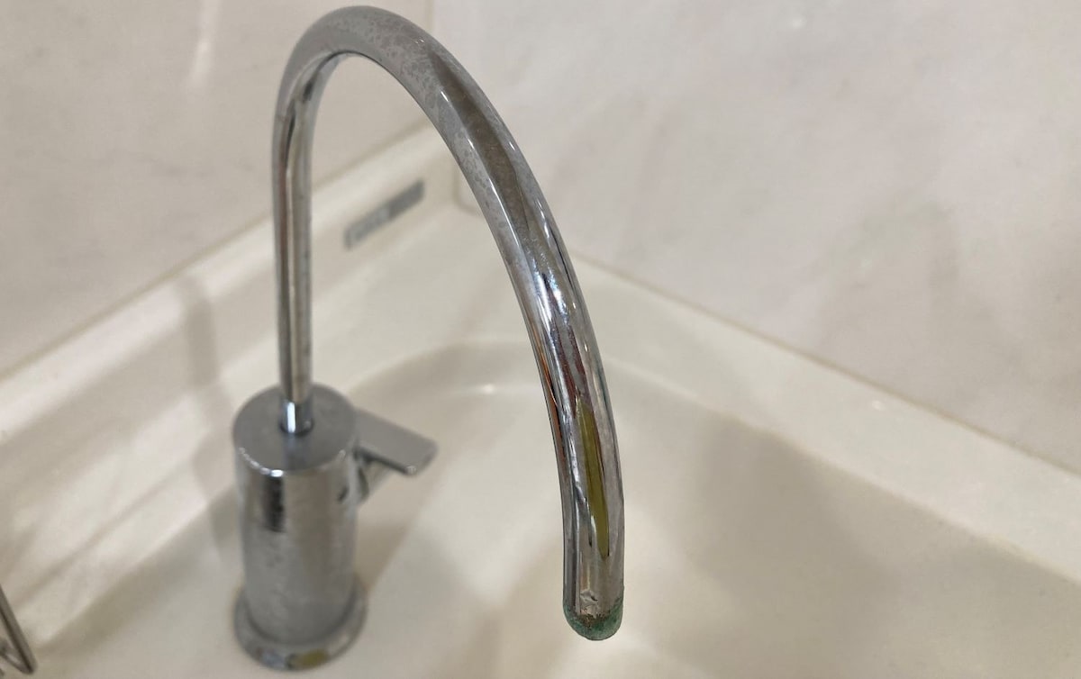 蛇口before_検証前