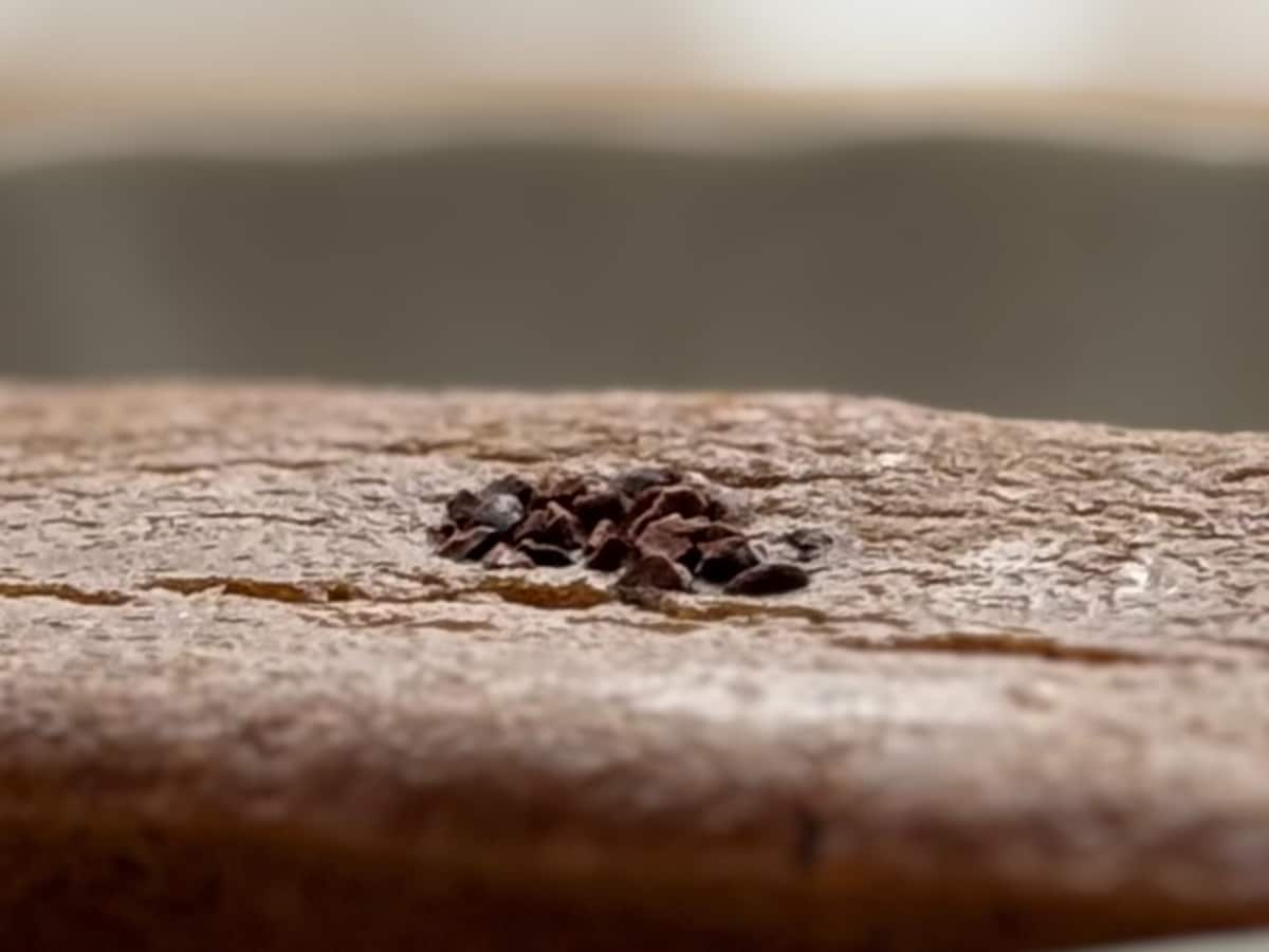 おいしくてやさしいソイラテ味【ファミマ】新作の焼き菓子は植物生まれ