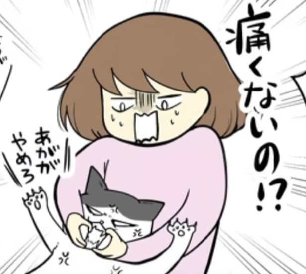 【ネコ漫画】発情期？それともストレス？猫がクッションをやたら噛むので通院したが、その原因に仰天！【作者に聞いた】