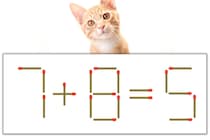 【マッチ棒パズル】正しい式にしよう！「7+8=5」【毎日脳トレ】