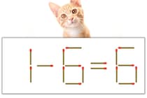 【マッチ棒パズル】正しい式にしよう！「1-6=6」【毎日脳トレ】