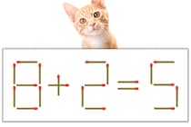 【マッチ棒パズル】正しい式にしよう！「8+2=5」【毎日脳トレ】