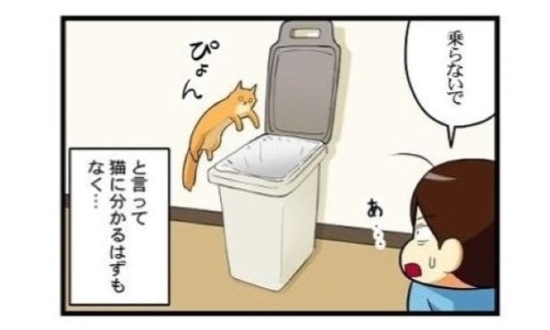 【ねこ漫画】フタが開いたゴミ箱に猫ジャンプ！「落ちる」と思いきや…「器用か!?」その姿に爆笑【作者に聞く】