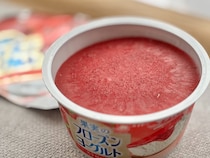 甘酸っぱくて爽やか！【メイトー】フローズンヨーグルトにリッチな新作