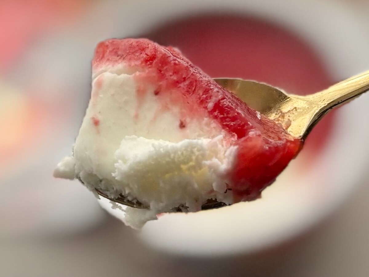 甘酸っぱくて爽やか!【メイトー】フローズンヨーグルトにリッチな新作