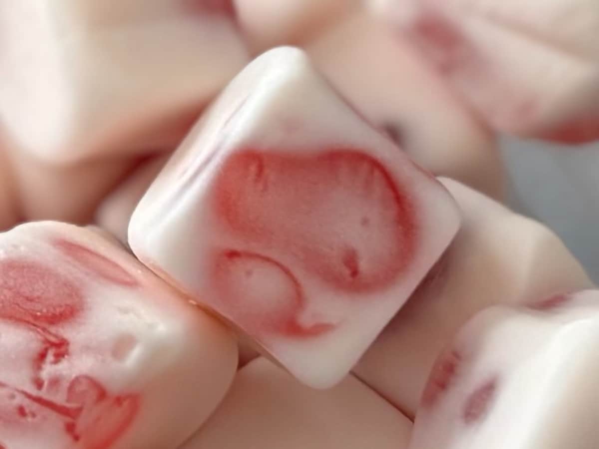 果実のようなフレッシュ感も【ピュアラルグミ】期間限定味が「うまうま」