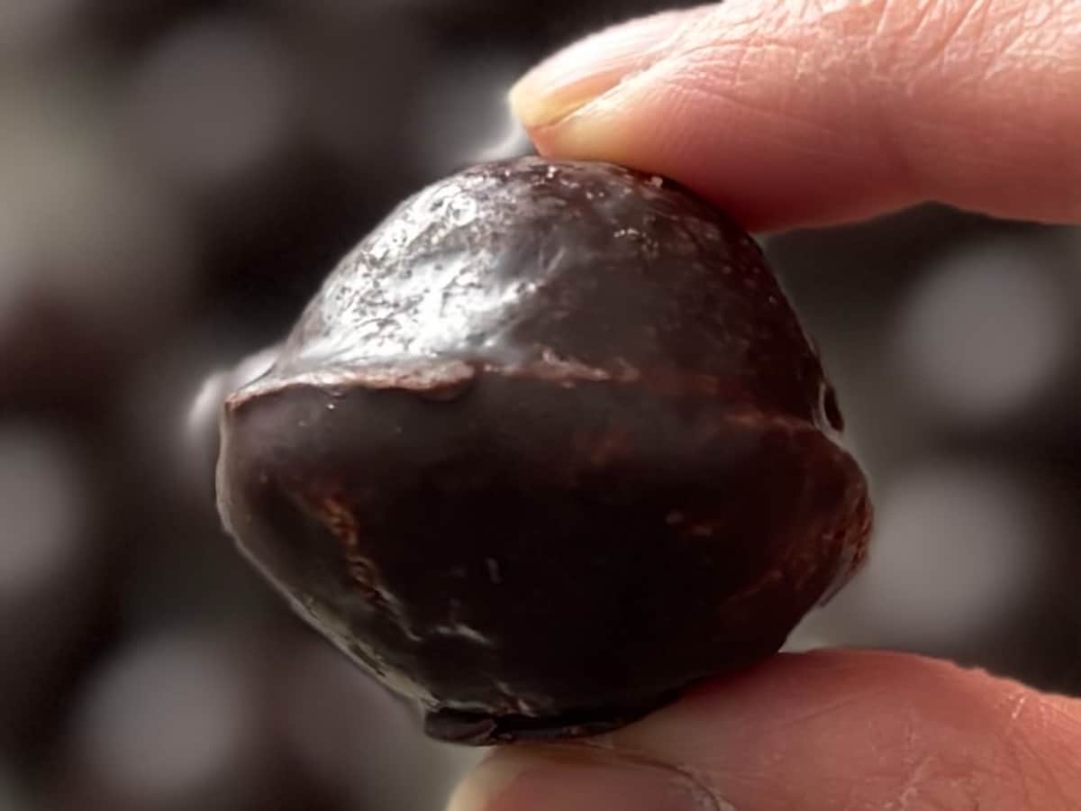 復活に「待ってた」の声も【セブン】見た目もかわいい冬恒例のおやつ