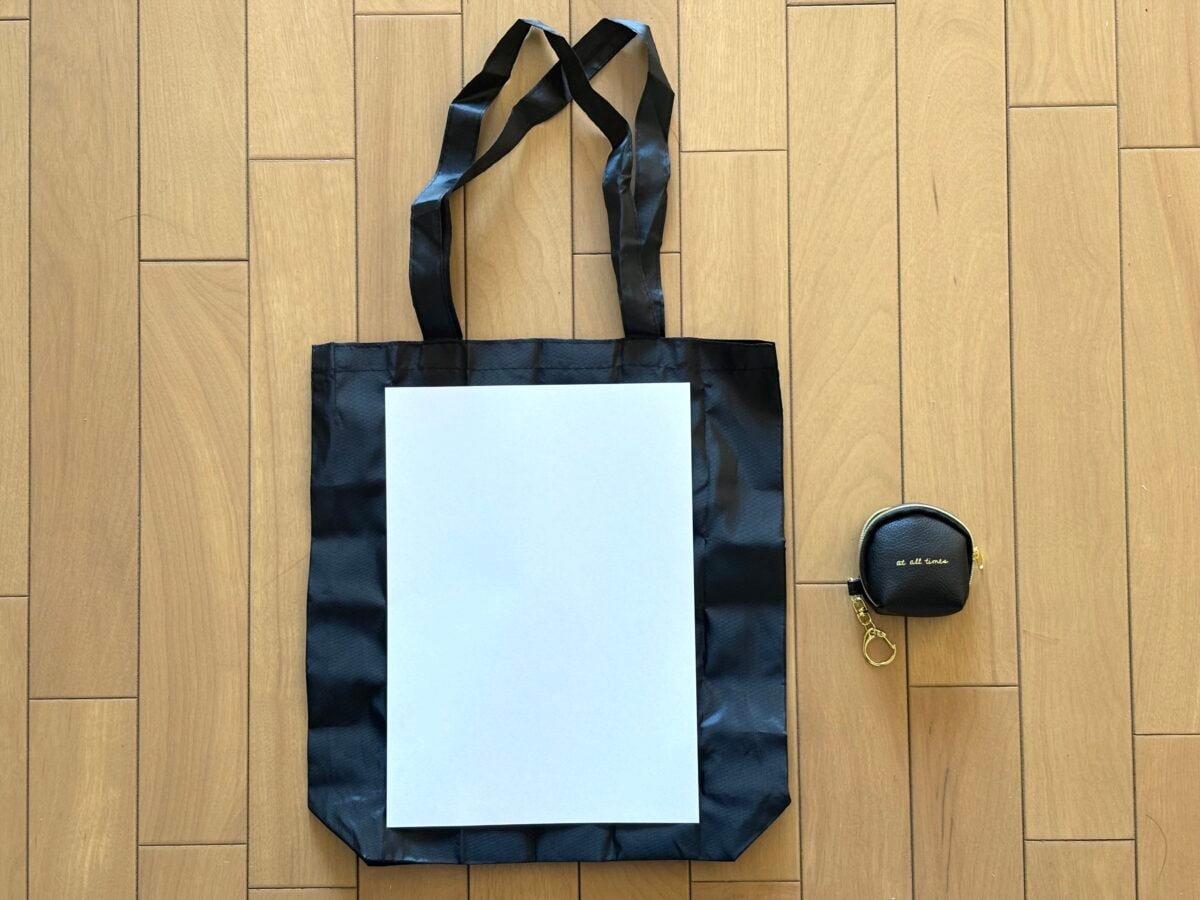 【ダイソー】「エコバッグ」が超優秀！ ポーチ付きでおしゃれ＆高見え♡
