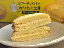 ビアードパパがクッキーに！？【森永】売切れ続出！見つけたら即買いだ～！