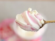 「桃のにおいがすごい」【セブン限定】独特食感の森永アイスに新作登場