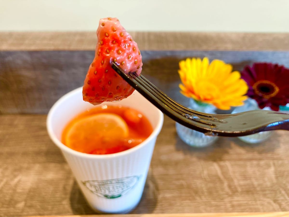 クラフトいちごレモネード（HOT）