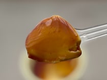 「『リッチ』の名に恥じない」味【ファミマ限定】人気プリンが特別仕様に