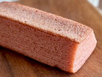 これみんな好きでしょ？【ドトール】片手OKの桜スイーツは花見に最適かも