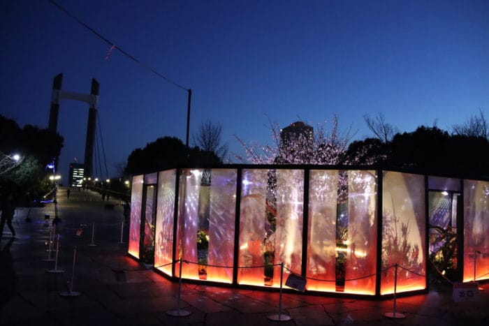 東京都が木場公園で四季を通じたイルミネーションイベント「花と光のムーブメント」開催!