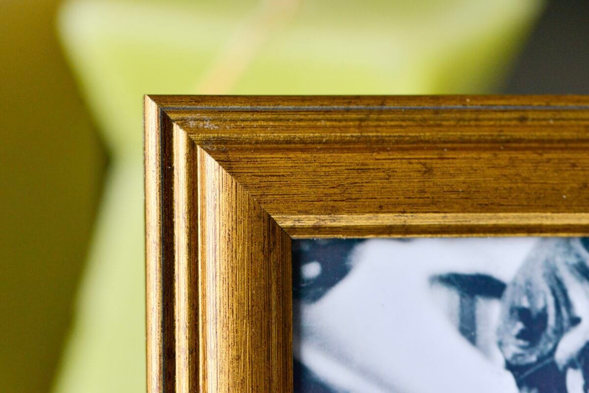 セリアのフォトフレームの種類を紹介!大きいものや壁掛けの売り場も解説