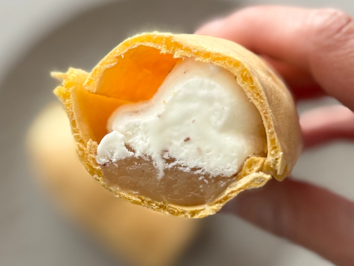 謎アイスだけど「意外と好き」「感動」【ファミマ限定】丸永の新作を実食