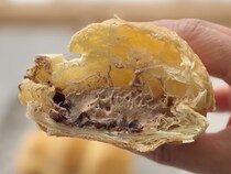 しっとり生地＆ダブルチョコにハマりそう♡【ファミマ】の新作パンを実食