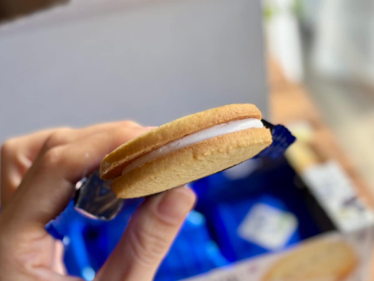 このクオリティーで1個50円は凄すぎ【森永】冬限定おやつにドハマり中