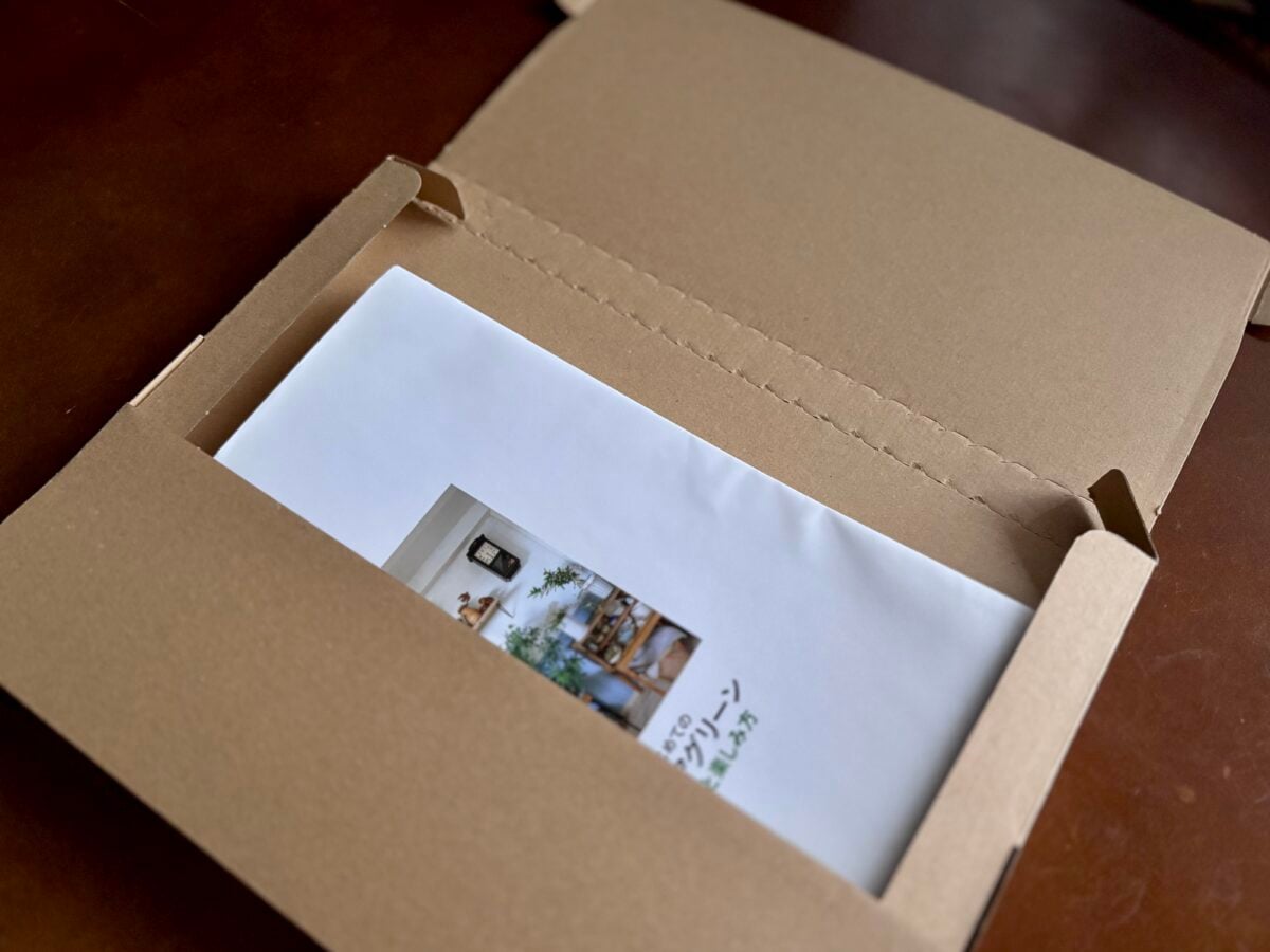 【ダイソー】で買えるダンボールおすすめ5選!サイズや組立て方も紹介