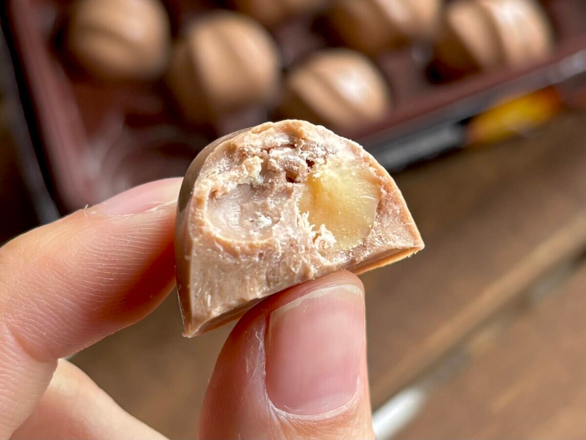 「高いけどうめぇ」【明治】マカダミアが期間限定プレミアム仕様で登場！