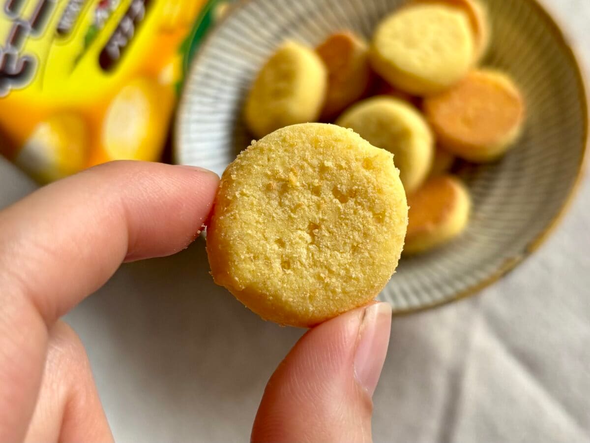 タイパ世代の救世主！【不二家】“朝用”カントリーマアムって知ってる？