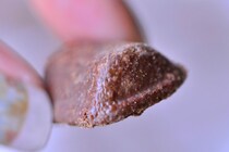 「箱買いしよかな」【森永】昨年大好評の溶けないチョコが今年も登場