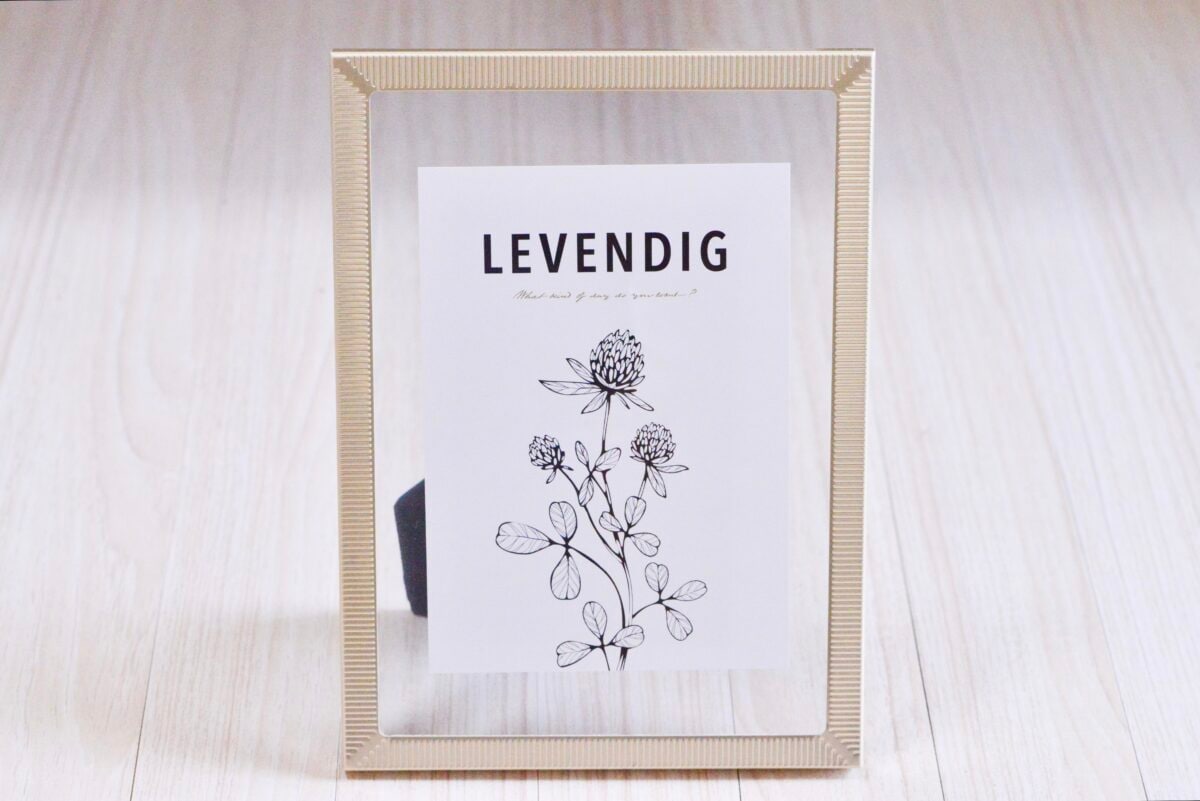 【ダイソー】フォトフレーム6選!おしゃれな写真立てを厳選