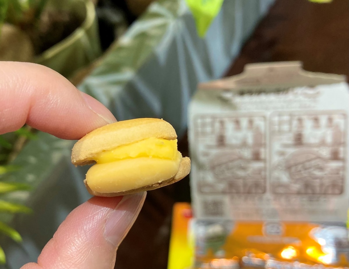 「世界を5回くらい救える美味さ」新作○○味【エブリバーガー】買い込んでしまった