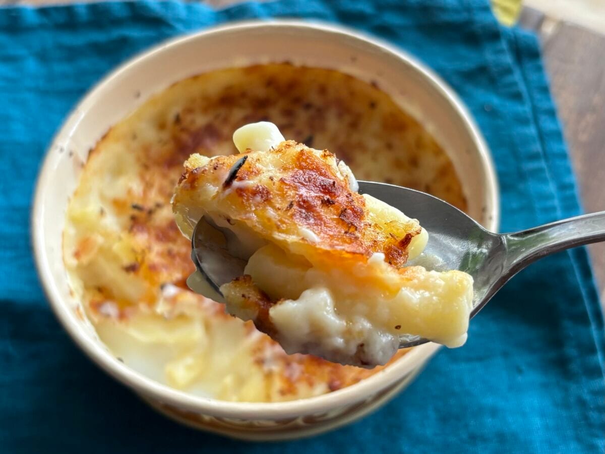 ホワイトソースとチーズが最高…【セブン】あつあつグラタンはいかが?