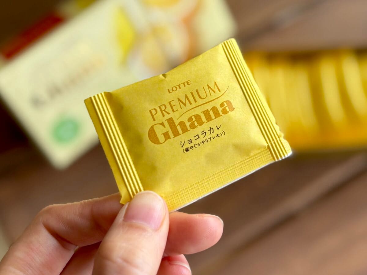 「一生食べていたい」【ロッテ】初夏を感じる大人ビターなチョコが登場