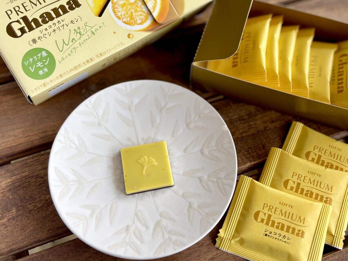 「一生食べていたい」【ロッテ】初夏を感じる大人ビターなチョコが新登場