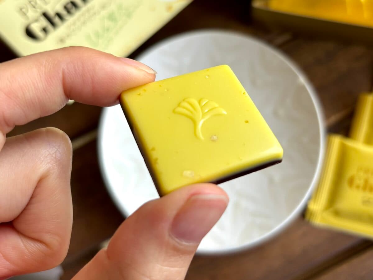 「一生食べていたい」【ロッテ】初夏を感じる大人ビターなチョコが登場