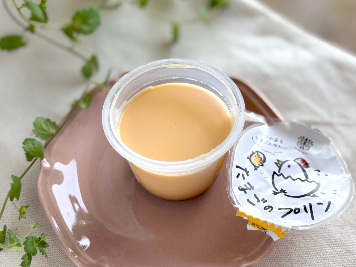 トーラク　たまごのプリン