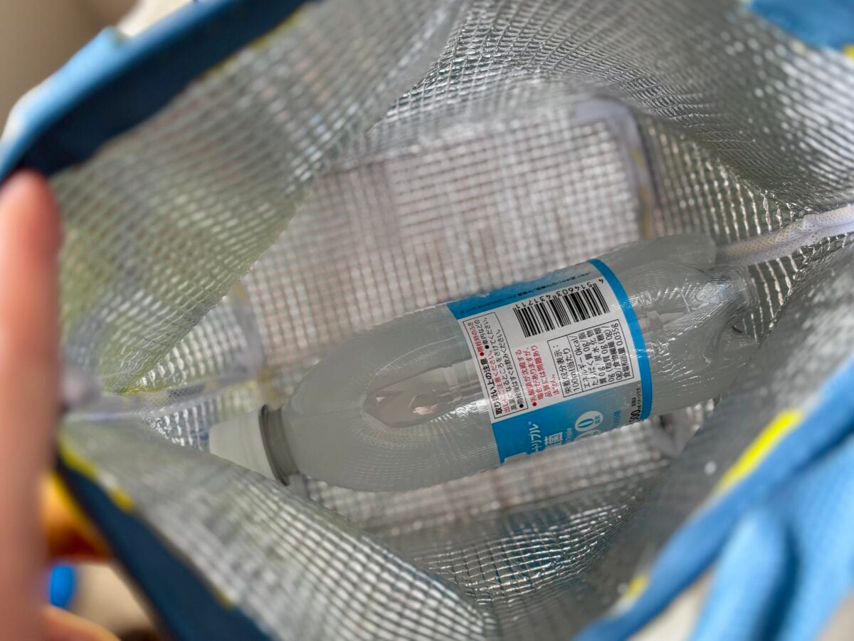 100均【セリア】保冷バッグ徹底レビュー!編集部おすすめ6選