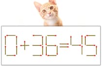 【マッチ棒パズル】正しい式にしよう！「0+36=45」【毎日脳トレ】
