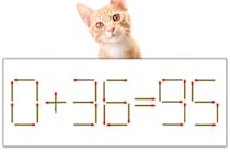 【マッチ棒パズル】正しい式にしよう！「0+36=95」【毎日脳トレ】