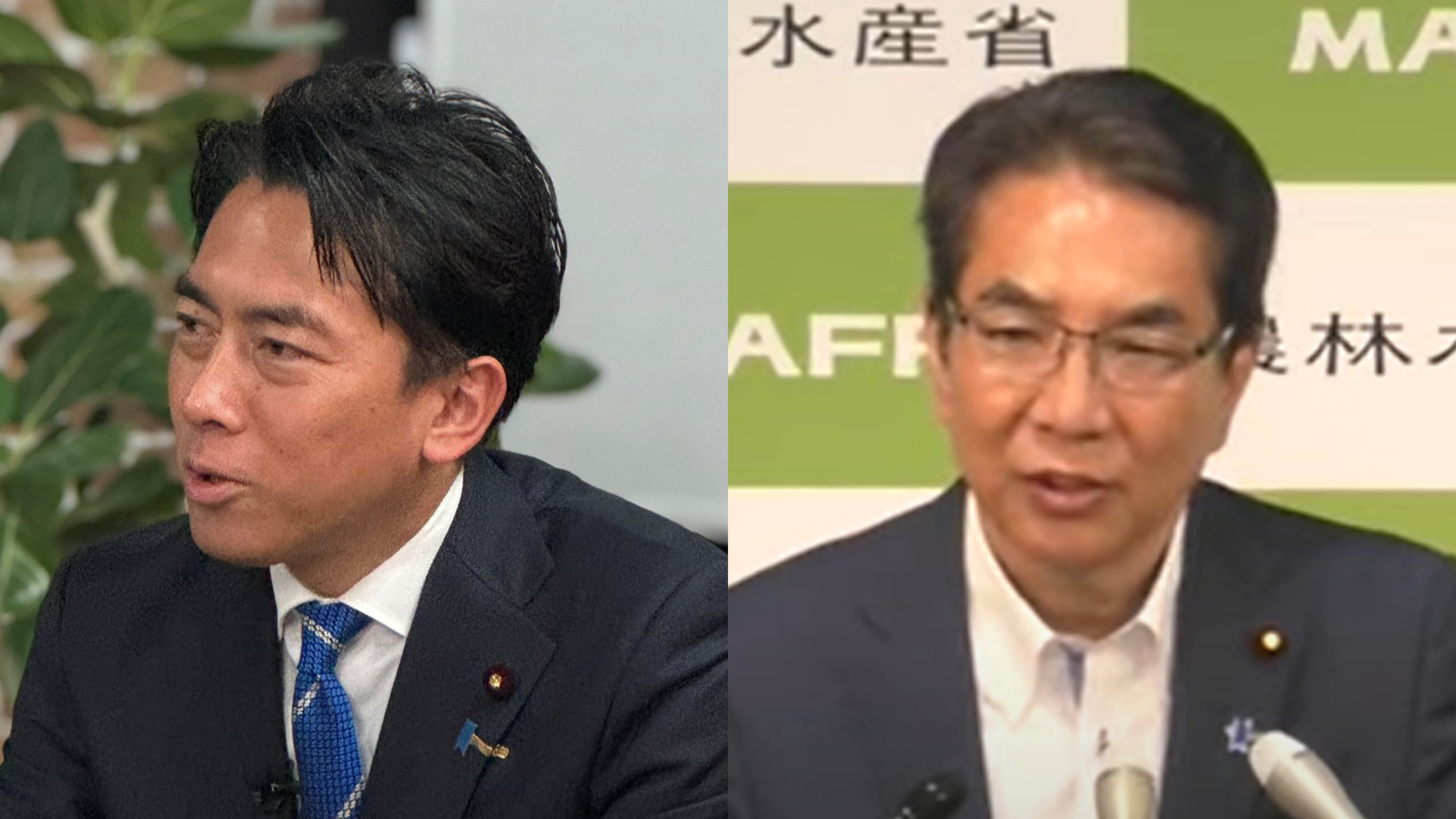 〈新農水相は進次郎氏へ〉ブチキレの宮崎県自民党県連「江藤にかき乱された」「“売るほどある”という方言などない」と大否定…白羽の矢の進次郎は「まだ早い」
