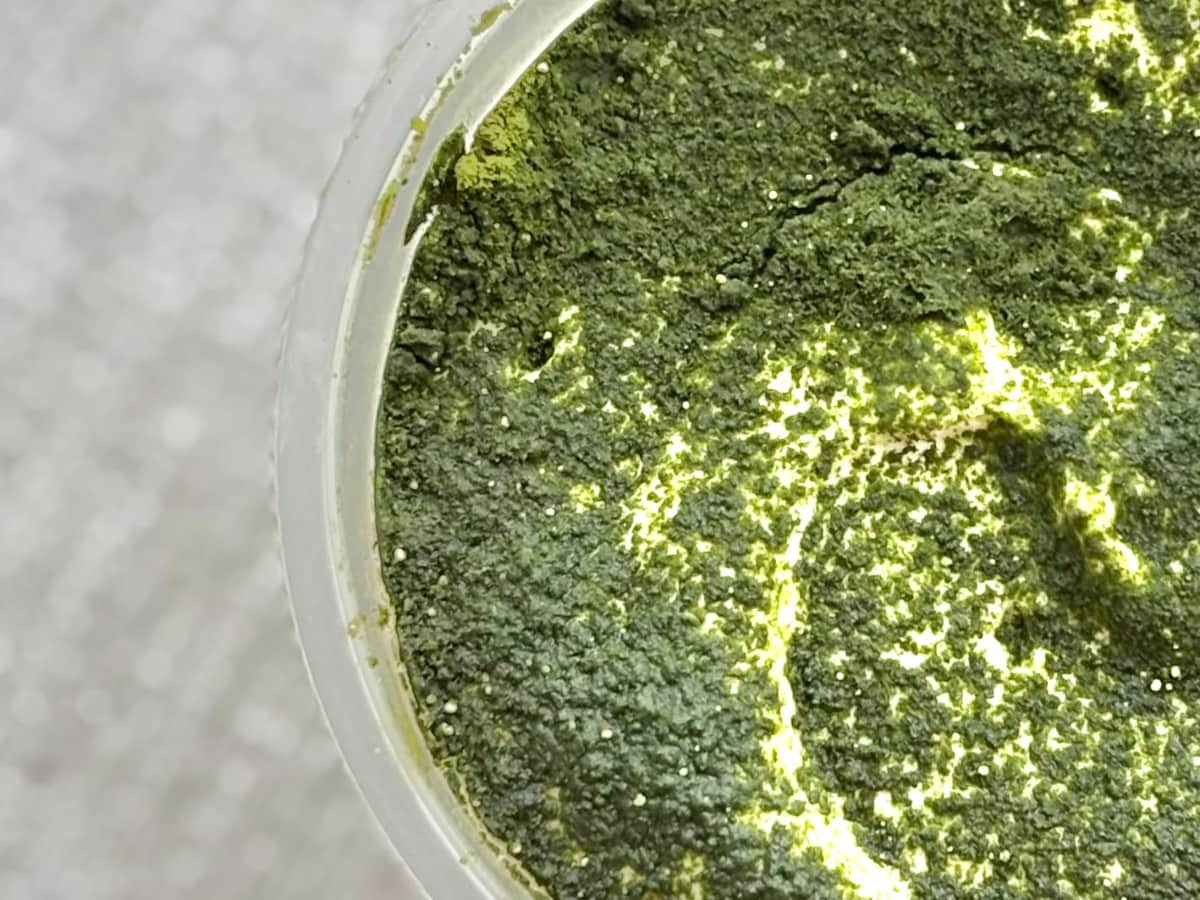 抹茶×マスカルポーネの【ローソン】新作に「一年中販売して欲しい」の声