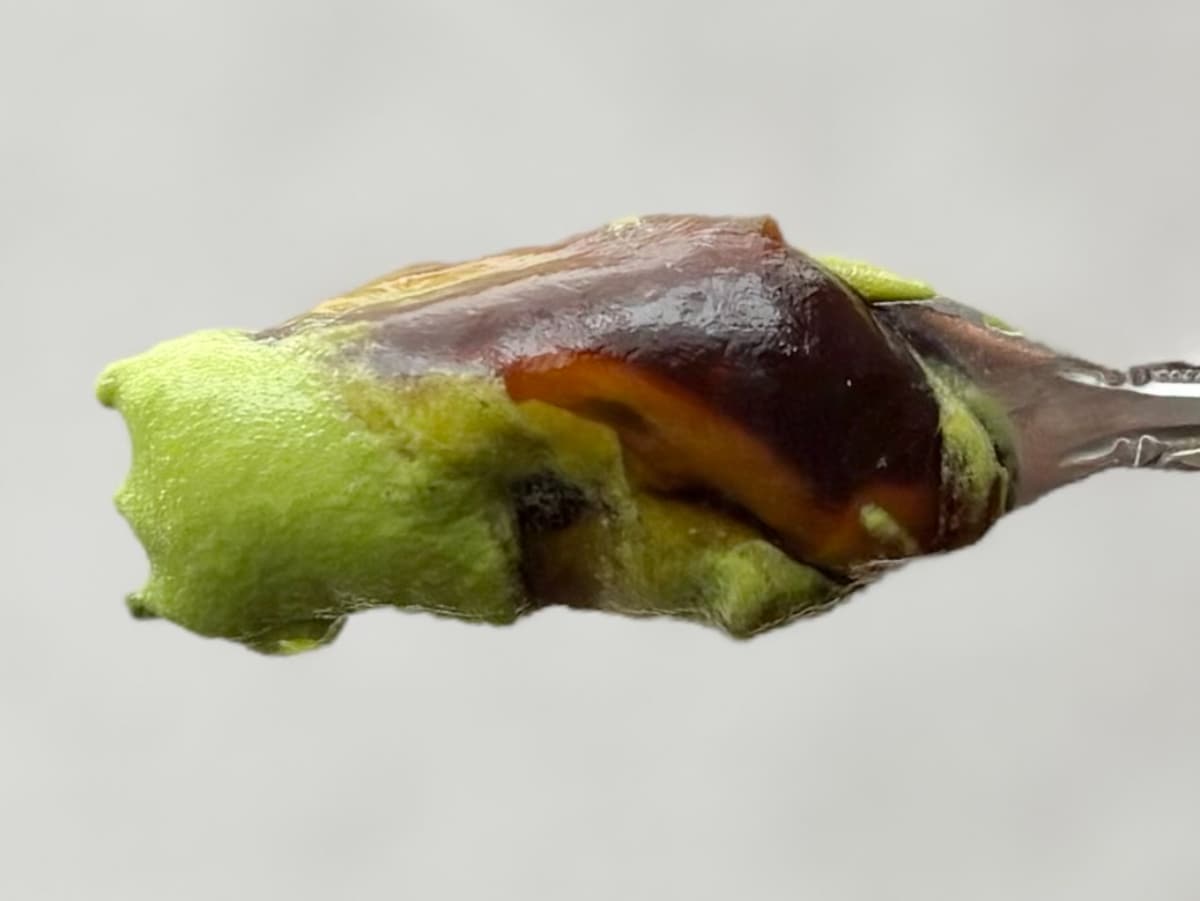 「流石に飲み物すぎる」「えぐいうまい」【セブン】の新作抹茶スイーツ