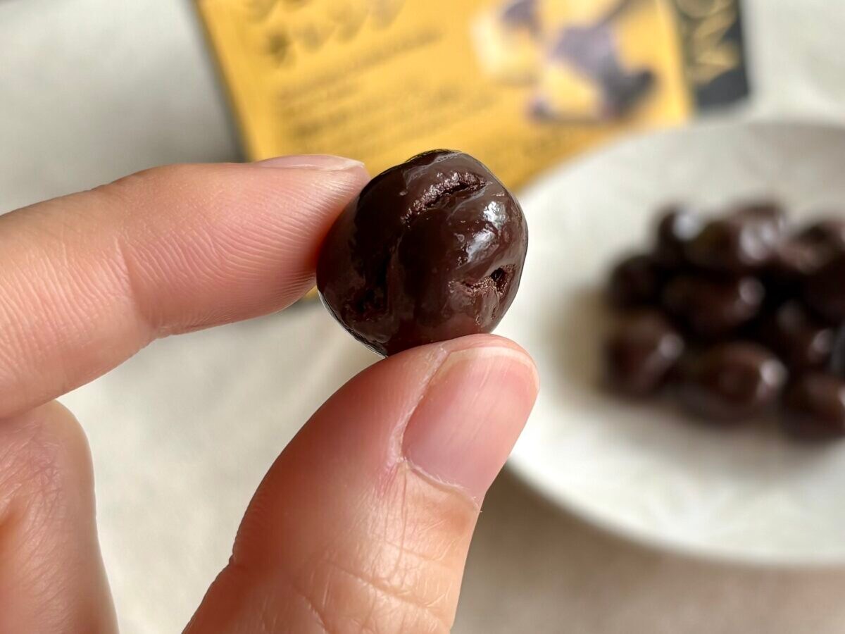 「明日もまた買う」【ファミマ】新作チョコは「刺さる人には刺さる」味