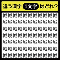 「城の中に隠れてるのは？」漢字間違い探しで脳トレしよう！【毎日脳トレ】【クイズ】