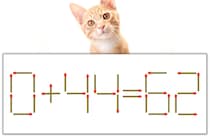 【マッチ棒パズル】正しい式にしよう！「0+44=62」【毎日脳トレ】