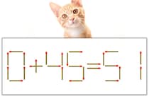 【マッチ棒パズル】正しい式にしよう！「0+45=51」【毎日脳トレ】