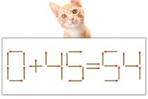 【マッチ棒パズル】正しい式にしよう！「0+45=54」【毎日脳トレ】