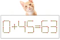 【マッチ棒パズル】正しい式にしよう！「0+45=63」【毎日脳トレ】