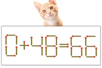 【マッチ棒パズル】正しい式にしよう！「0+48=66」【毎日脳トレ】