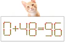 【マッチ棒パズル】正しい式にしよう！「0+48=96」【毎日脳トレ】